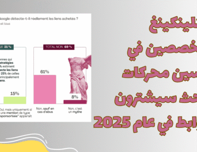 النتلينكينغ:المتخصصين في تحسين محركات البحث سيشترون الروابط في عام 2025