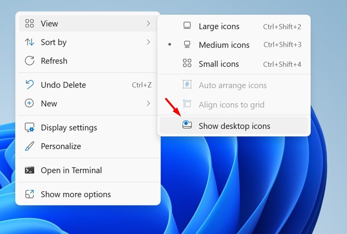 Hide All Desktop Icons