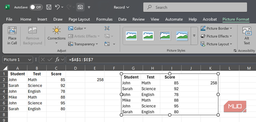 A data range pasted as a picture on an Excell sheet courtesy of the Camera tool.