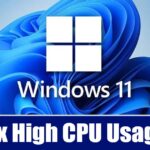 How to Fix Modern Setup Host High CPU Usage in Windows?