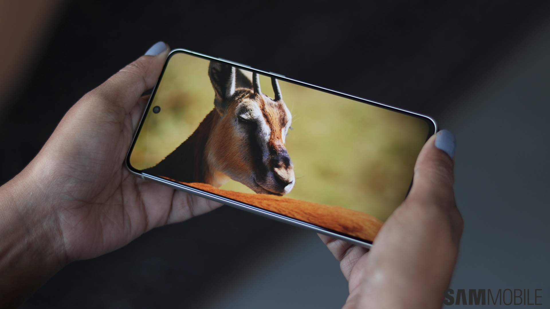 Galaxy S21 FE review
