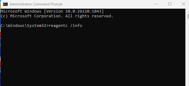 reagentc /info
