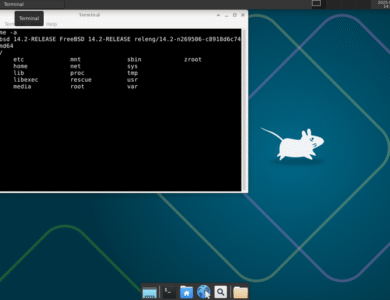 6 BSDs Worth Trying Instead of Linux