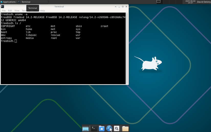 FreeBSD Xfce desktop with a terminal window open.