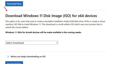 Download Windows 11 24H2 ISO Files (All Methods)