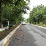Galaxy S21 Ultra vs iPhone 13 Pro Max camera comparison: Which flagship is better?