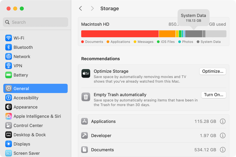 macOS System Data highlighted in the Storage tool.